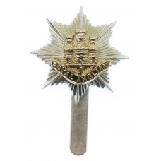 Royal Anglian Regiment Anodised (Staybrite) Cap Badge