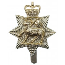 The Queen's Royal Surrey Regiment Anodised (Staybrite) Cap Badge