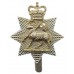 The Queen's Royal Surrey Regiment Anodised (Staybrite) Cap Badge