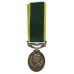 George VI Territorial Efficiency Medal - Pte. D. Robertson, Seaforth Highlanders