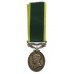 George VI Territorial Efficiency Medal - Pte. D. Robertson, Seaforth Highlanders