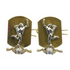 Pair of Royal Signals Anodised (Staybrite) Collar Badges