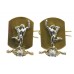 Pair of Royal Signals Anodised (Staybrite) Collar Badges