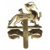 Royal Berkshire Regiment Anodised (Staybrite) Cap Badge