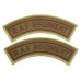 Pair of Royal Air Force Regiment (R.A.F. REGIMENT) Cloth Shoulder Titles