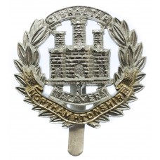 Northamptonshire Regiment Anodised (Staybrite) Cap Badge