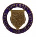 Somerset Special Constabulary Enamelled Lapel Badge 