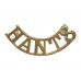 Hampshire Regiment (HANTS) Shoulder Title