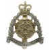 Hampshire & Isle of Wight Territorials Anodised (Staybrite) Cap Badge