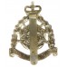 Hampshire & Isle of Wight Territorials Anodised (Staybrite) Cap Badge