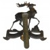 Hertfordshire Cadets (Herts Cadets) Cap Badge