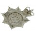 Southampton Police Helmet Plate - Queen's Crown
