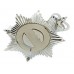 Surrey Police Enamelled Helmet Plate - Queen's Crown