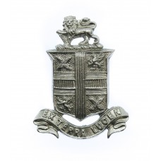 St. Helen's Police Collar Badge