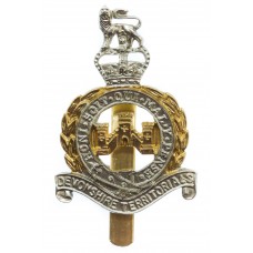 Devonshire Territorials Anodised (Staybrite) Cap Badge 