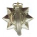 Devonshire Regiment Anodised (Staybrite) Cap Badge - Queen's Crown