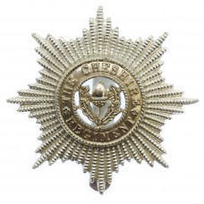 Cheshire Regiment  Anodised (Staybrite) Cap Badge 