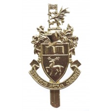 Southampton University O.T.C. Anodised (Staybrite) Cap Badge