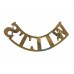 Wiltshire Regiment (WILTS) Shoulder Title