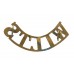 Wiltshire Regiment (WILTS) Shoulder Title