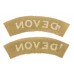 Pair of Devonshire Regiment (DEVON) Cloth Shoulder Titles