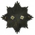 Blackpool Police Night Helmet Plate - King's Crown