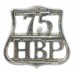 Hamilton Burgh Police Epaulette/Collar Badge