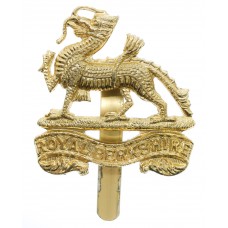 Royal Berkshire Regiment Anodised (Staybrite) Cap Badge