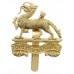 Royal Berkshire Regiment Anodised (Staybrite) Cap Badge