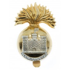 Royal Inniskilling Fusiliers Anodised (Staybrite) Cap Badge 