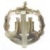 Dorset Regiment Anodised (Staybrite) Cap Badge