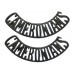 Pair of Cameronians (Scottish Rifles) (CAMERONIANS) Shoulder Titles