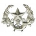 Cameronians (Scottish Rifles) Anodised (Staybrite) Cap Badge