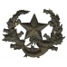 Victorian Cameronians (Scottish Rifles) Blackened Brass Cap Badge