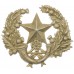 Cameronians (Scottish Rifles) Cap Badge