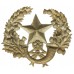 Cameronians (Scottish Rifles) Cap Badge