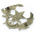 Cameronians (Scottish Rifles) Cap Badge