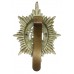 Worcestershire Regiment Cap Badge