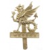 Wessex Brigade Anodised (Staybrite) Cap Badge