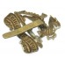Royal Berkshire Regiment Cap Badge