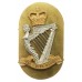 Royal Irish Rangers Pipers Caubeen Hat Badge