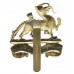 Royal Berkshire Regiment Anodised (Staybrite) Cap Badge