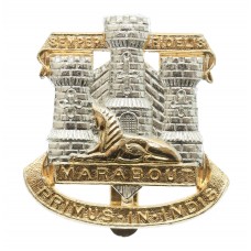 Devon & Dorset Regiment Anodised (Staybrite) Cap Badge