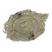 Victorian Argyll & Sutherland Highlanders Cap Badge