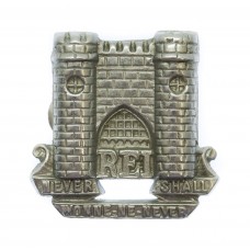 Reigate Borough Police Chrome Collar Badge