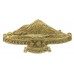 New Zealand 11th (Taranaki Rifles) Regiment Cap Badge 