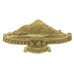 New Zealand 11th (Taranaki Rifles) Regiment Cap Badge 