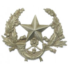 Cameronians (Scottish Rifles) Cap Badge