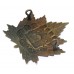 Canadian Fort Garry Horse Cap Badge