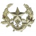 Cameronians (Scottish Rifles) Cap Badge